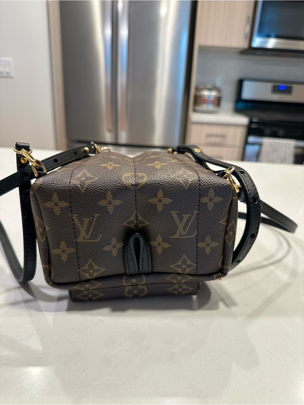 Louis Vuitton Monogram Palm Springs Mini Backpack with Black Scarf - Picture 4 of 6